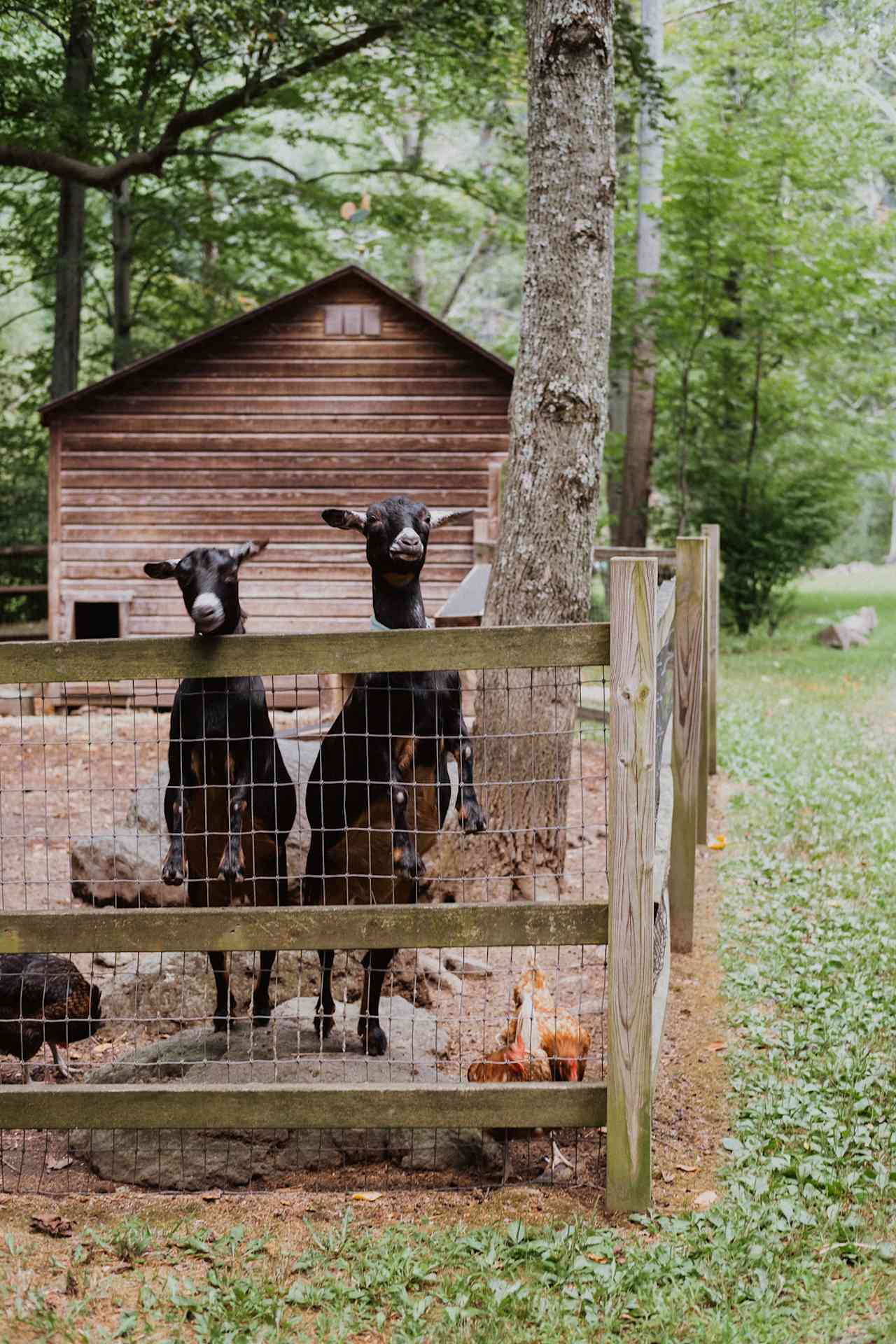 Hazel and Holly were very eager to meet us!