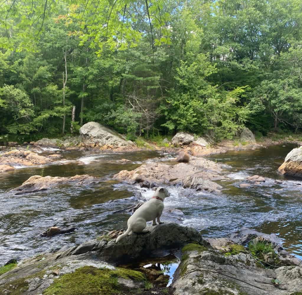 Stagecoach Falls