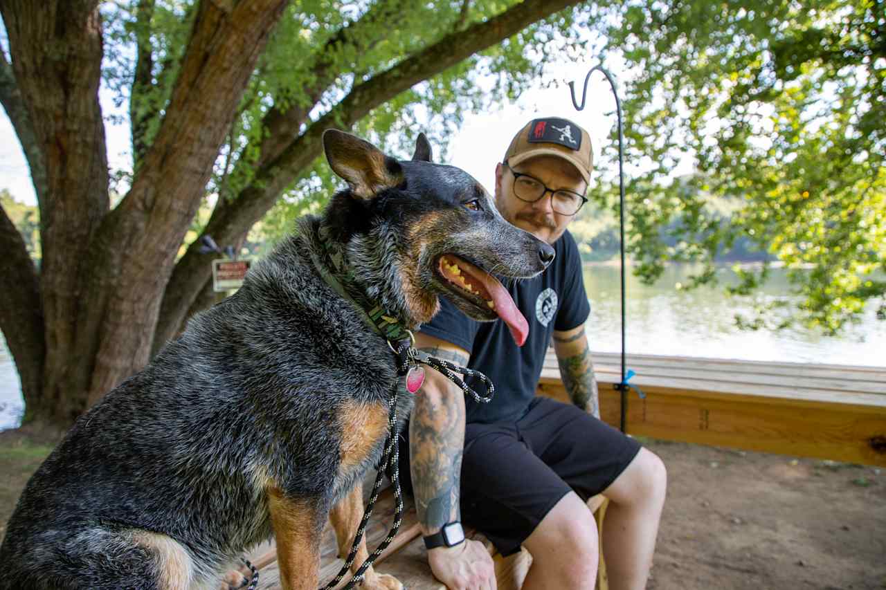 This is a dog-friendly campsite! 