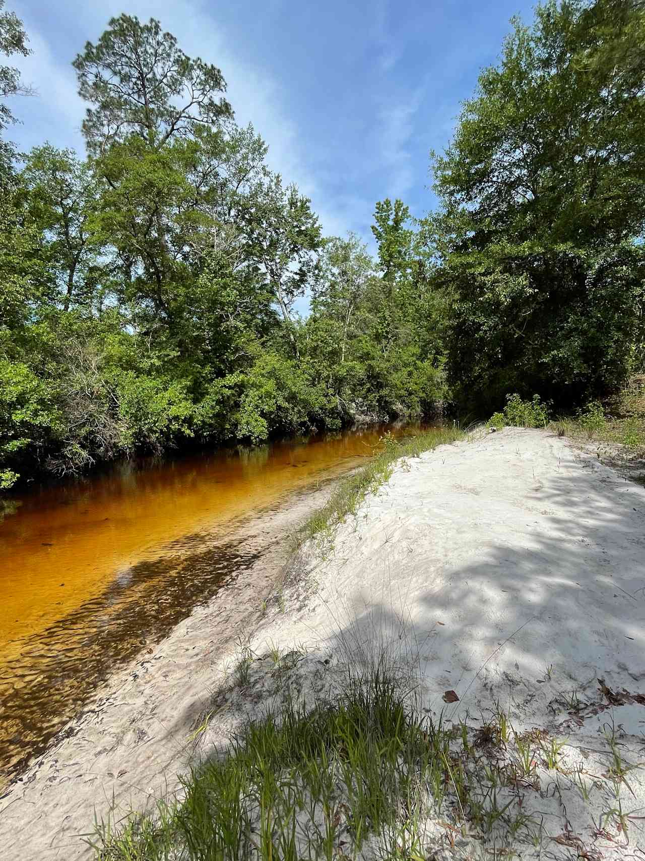 Sand Bar Tent Site