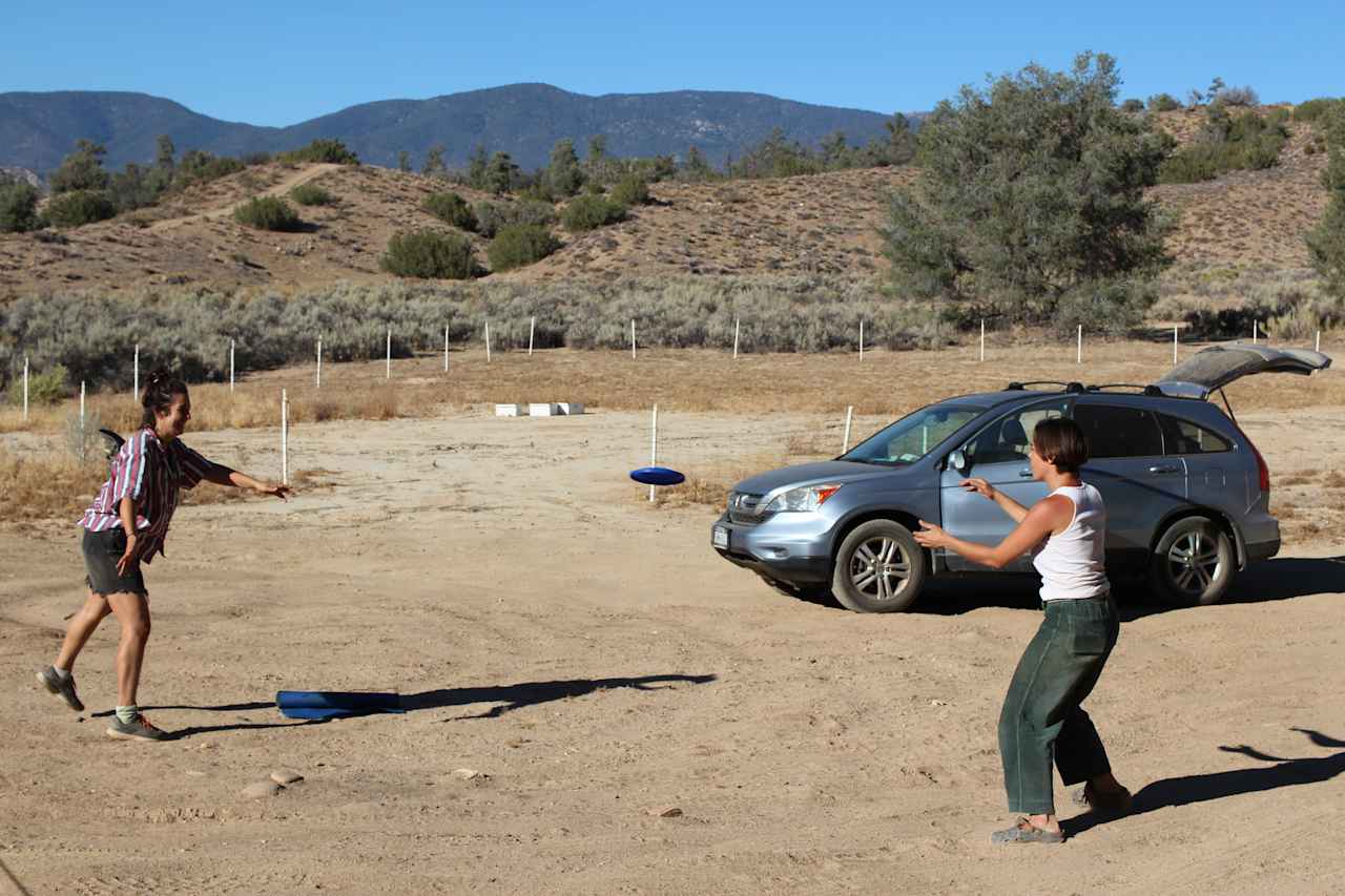 Camper site- playing frisbee by the pig pen