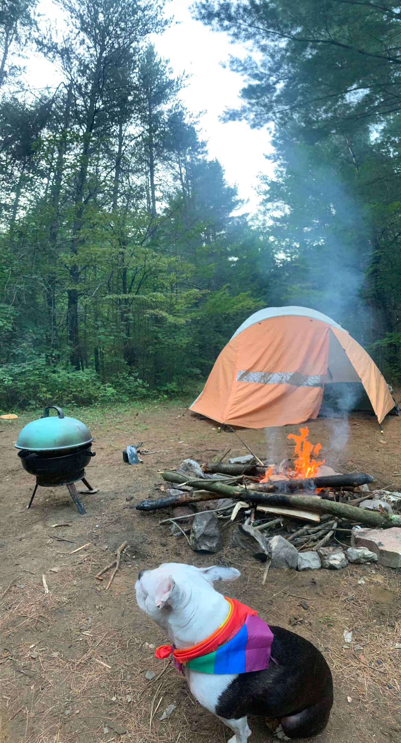 Whispering Pines - Curran, Ontario