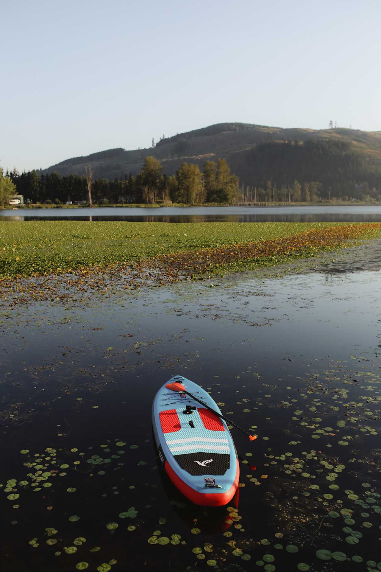 Vital Farm at Clear Lake