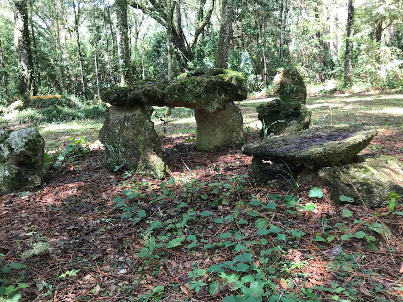 A prehistoric picnic awaits!