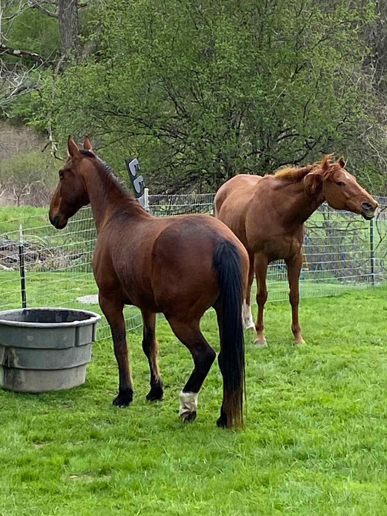 The Dominion House Farm and Trails