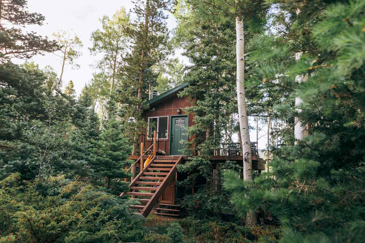 Bayly's Treehouse Retreat