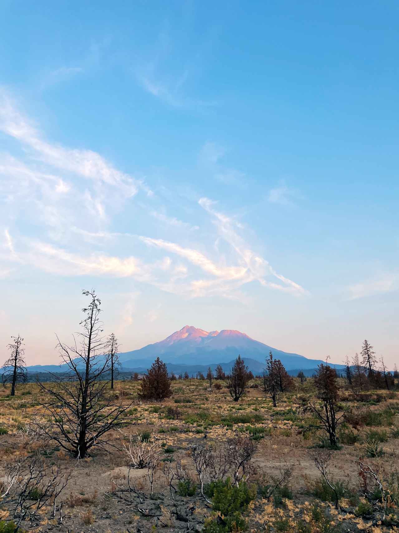 Juniper Valley Campsites