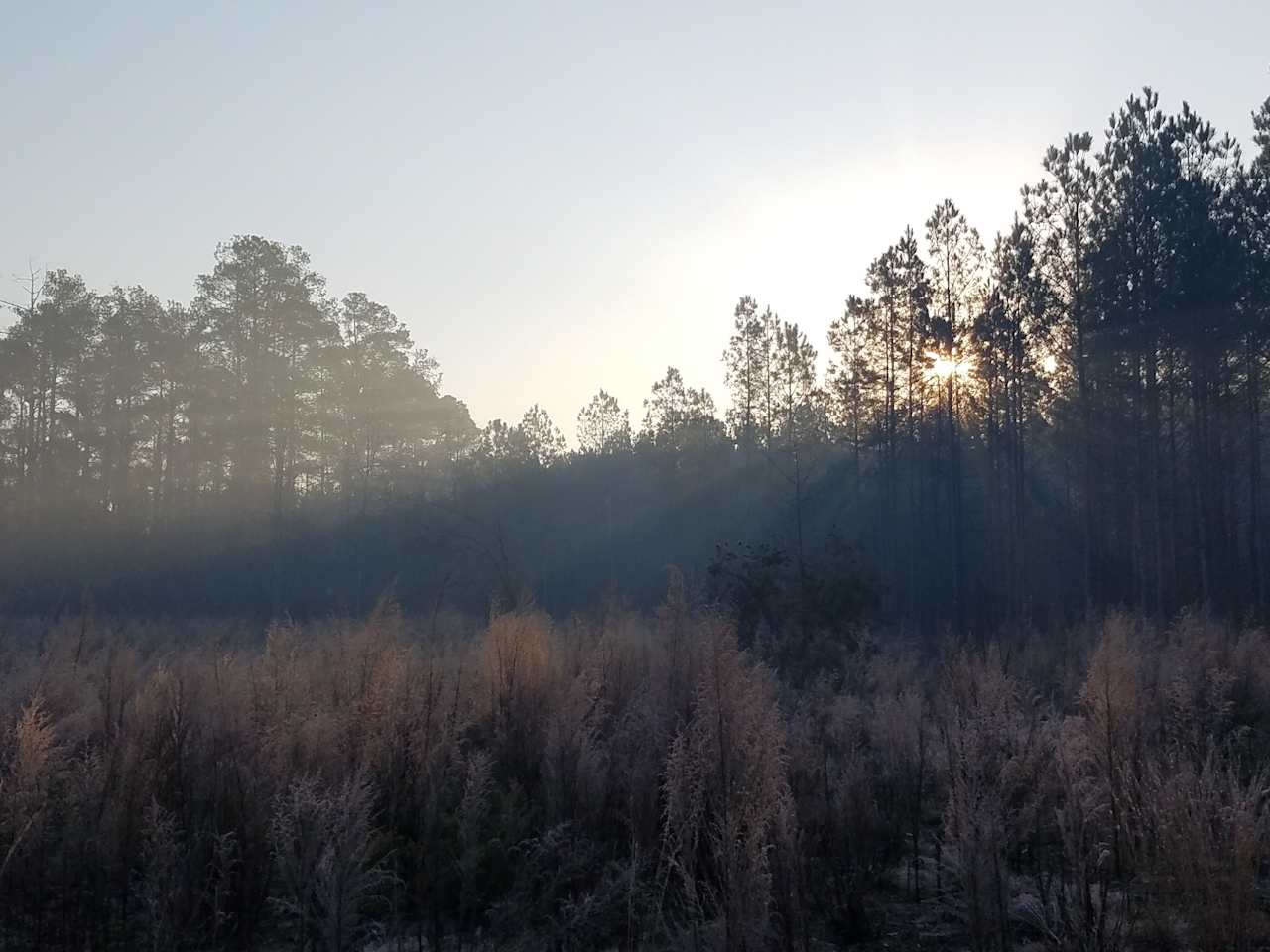 Davisboro Campground and RV Privet