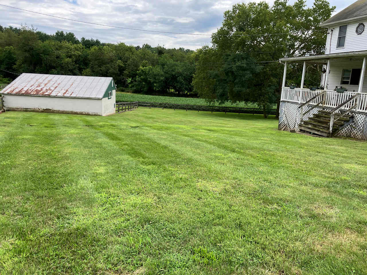 Large fenced yard can be reserved to let your dog run.