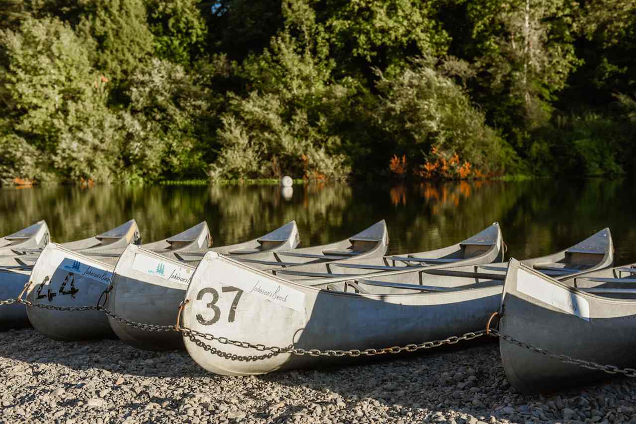 Johnson's Beach and Campground