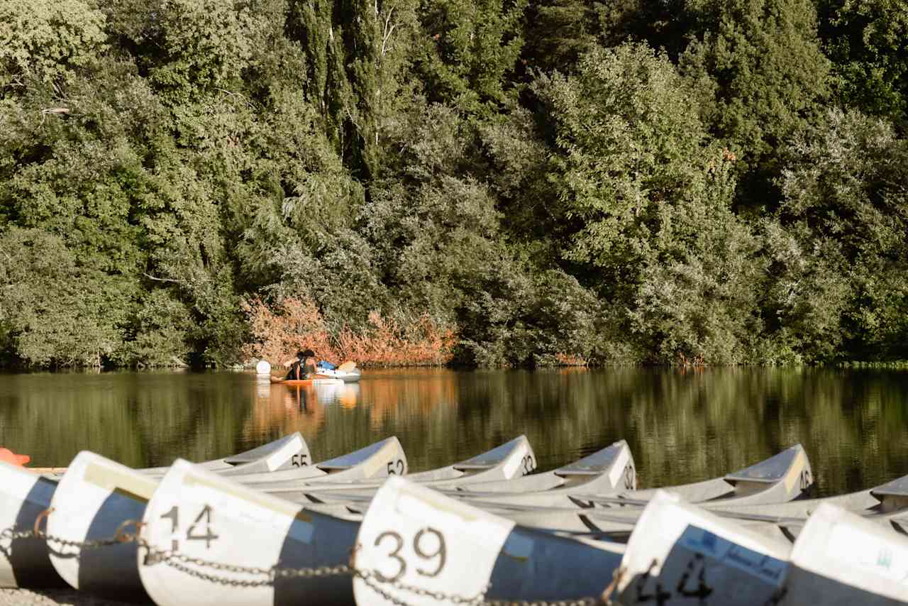 Johnson's Beach and Campground