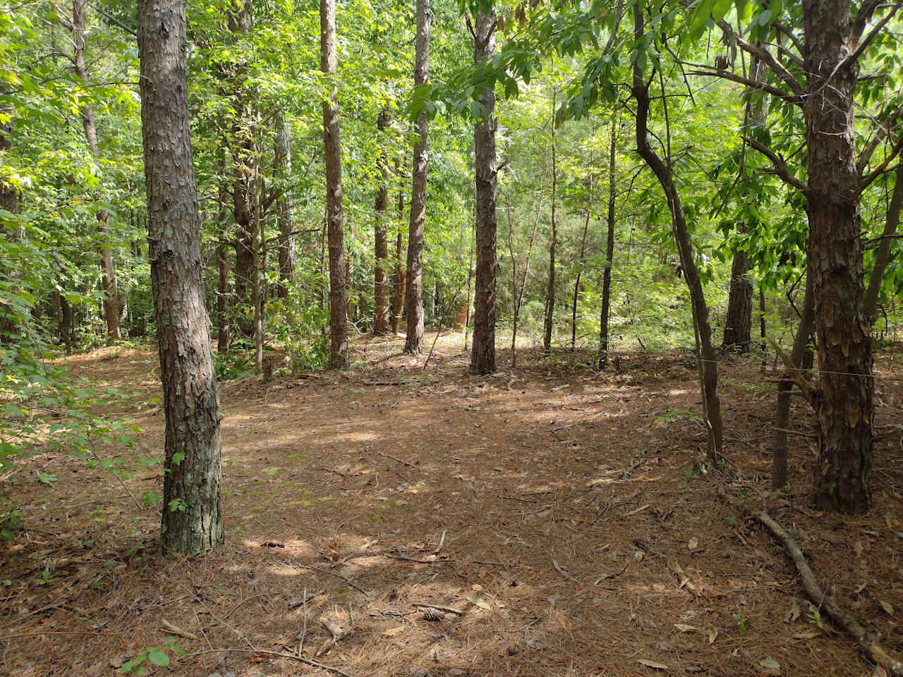 3 Creeks Camp and Nature Preserve