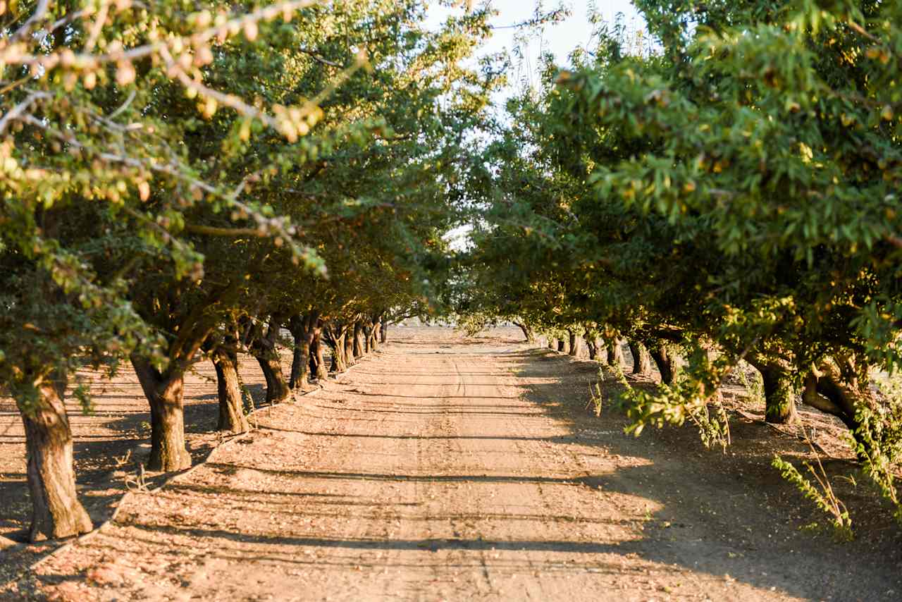 Roberts Island Farmers Paradise