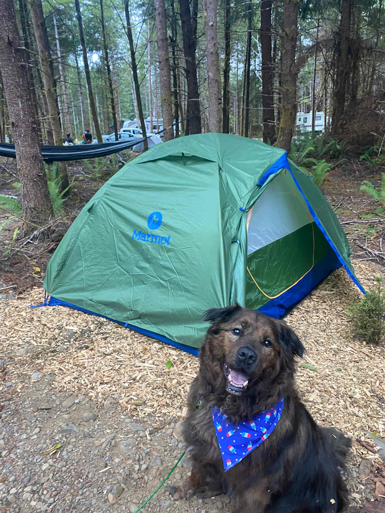 We stayed at tent site 5 and really enjoyed our stay! We thought it was quiet and spacious. Giancarlo was very accommodating and enjoyable to converse with when we ran into him. We will definitely be back. :) 