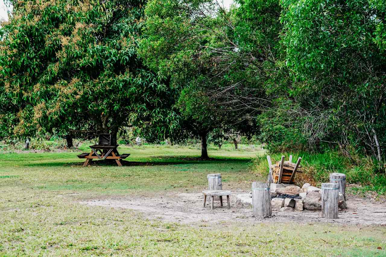 mango tree site - the larger fire pit