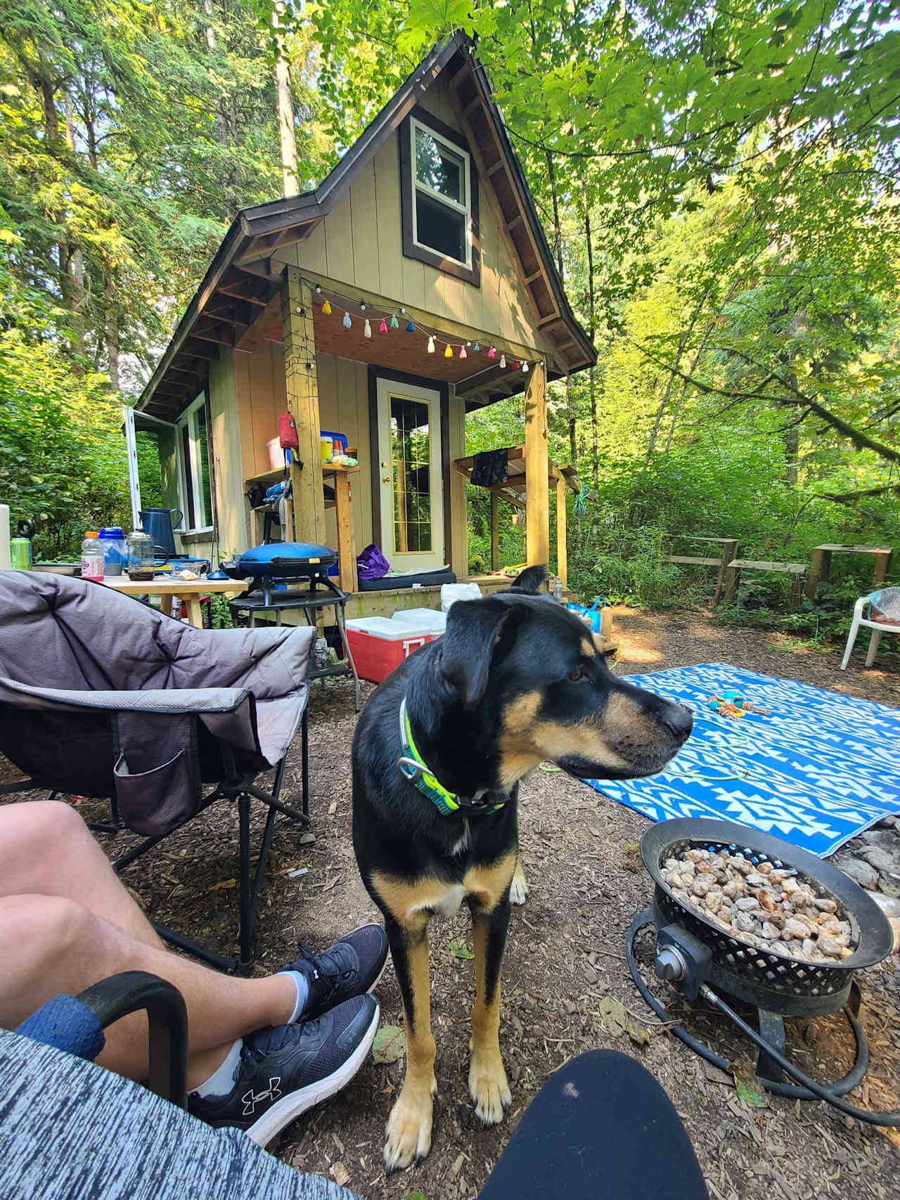 Forager Hill Farm on Hayward Lake