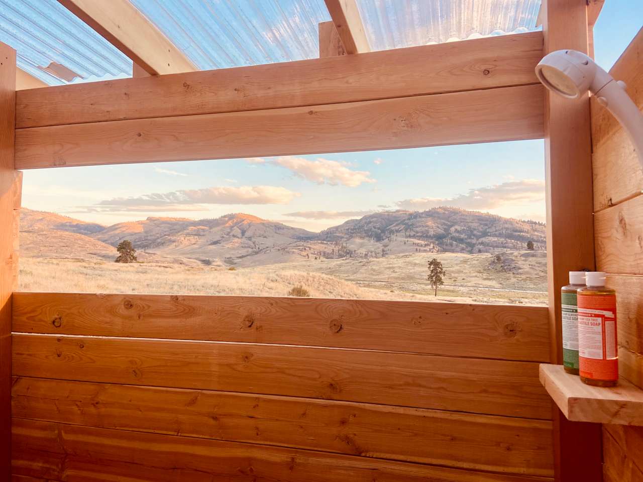 Shower with a view