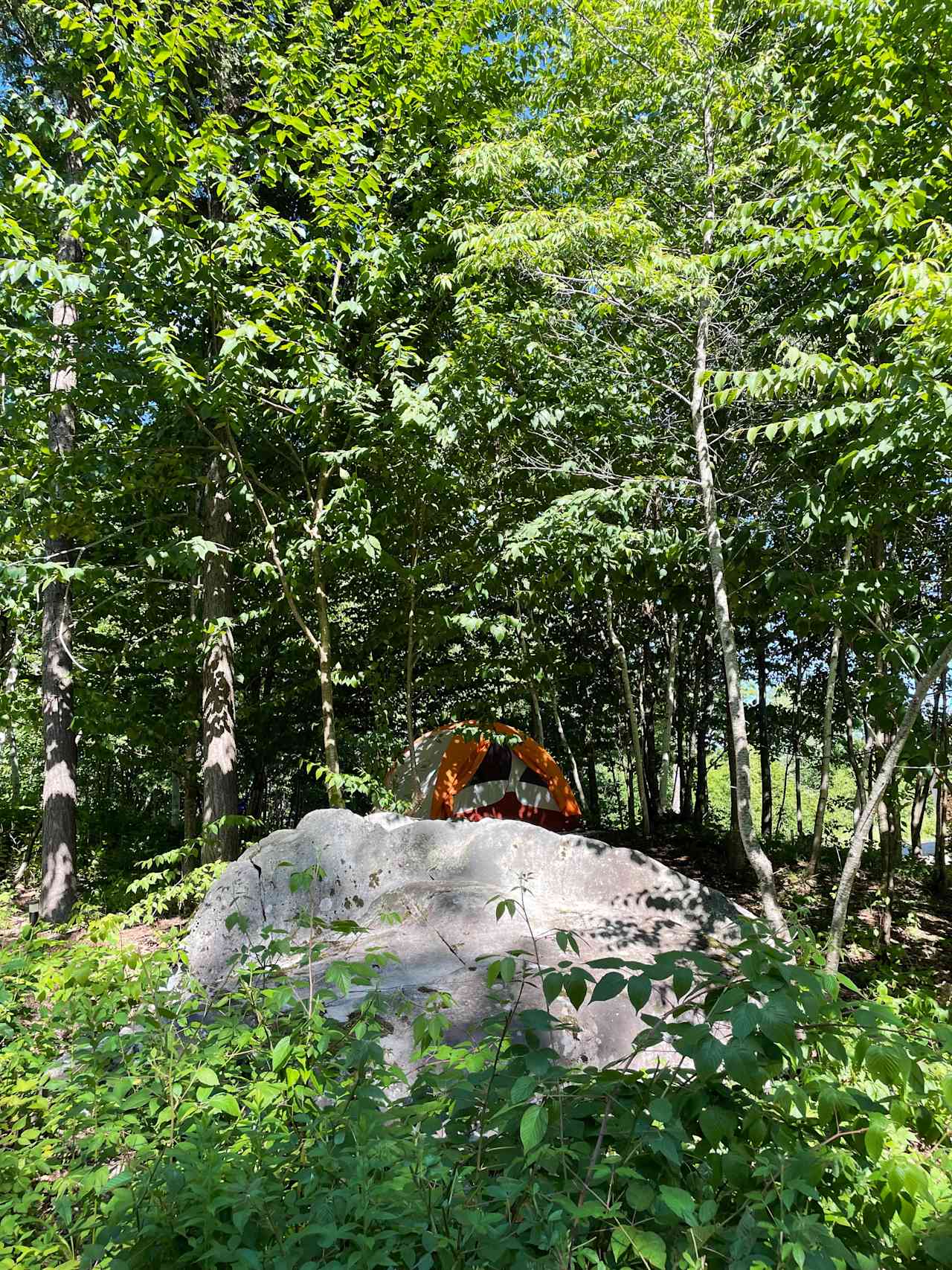 campsite #3 near the house