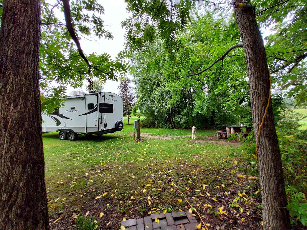 Cool Wooded Retreat