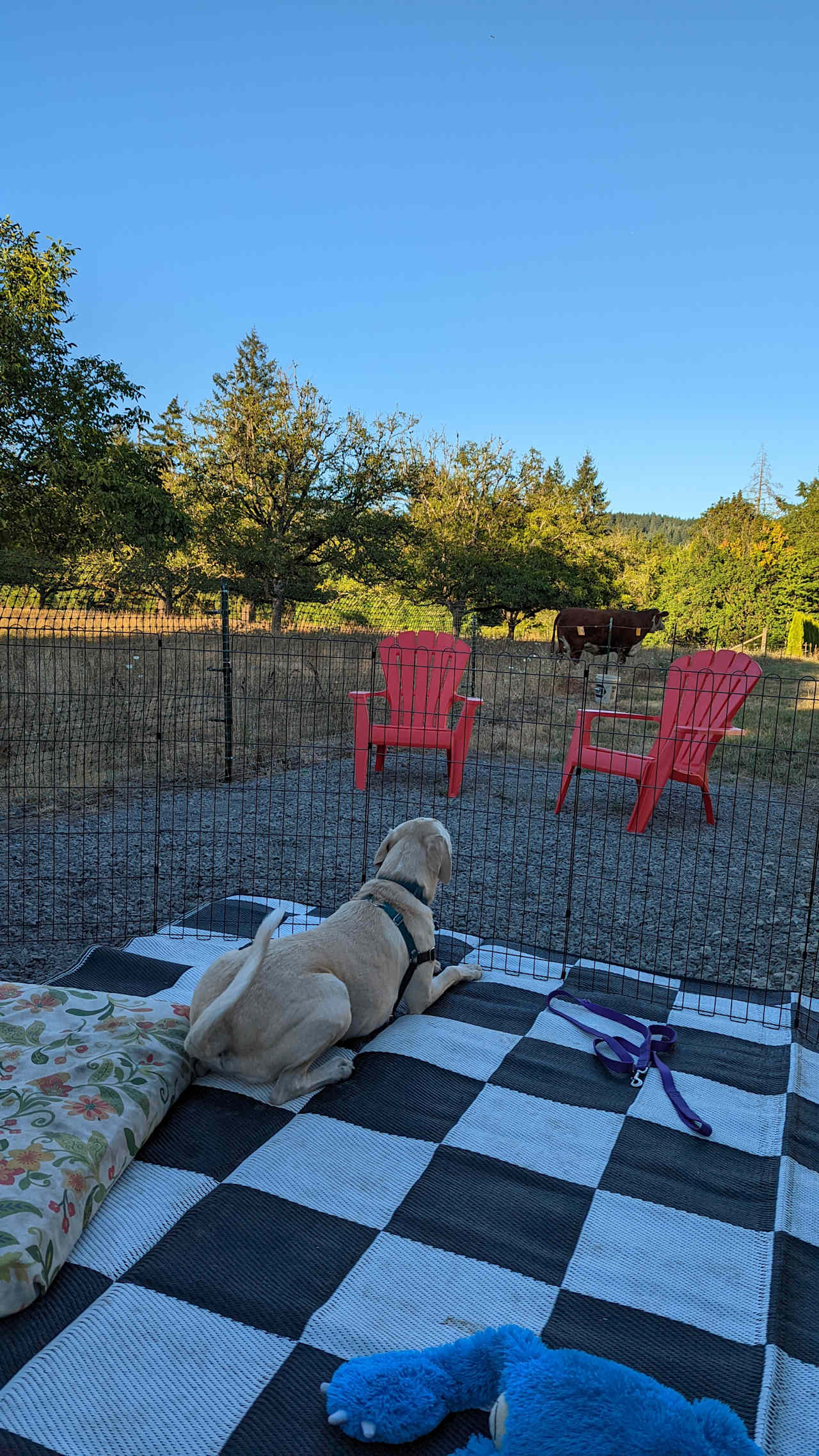 Red Door Adventures Farm