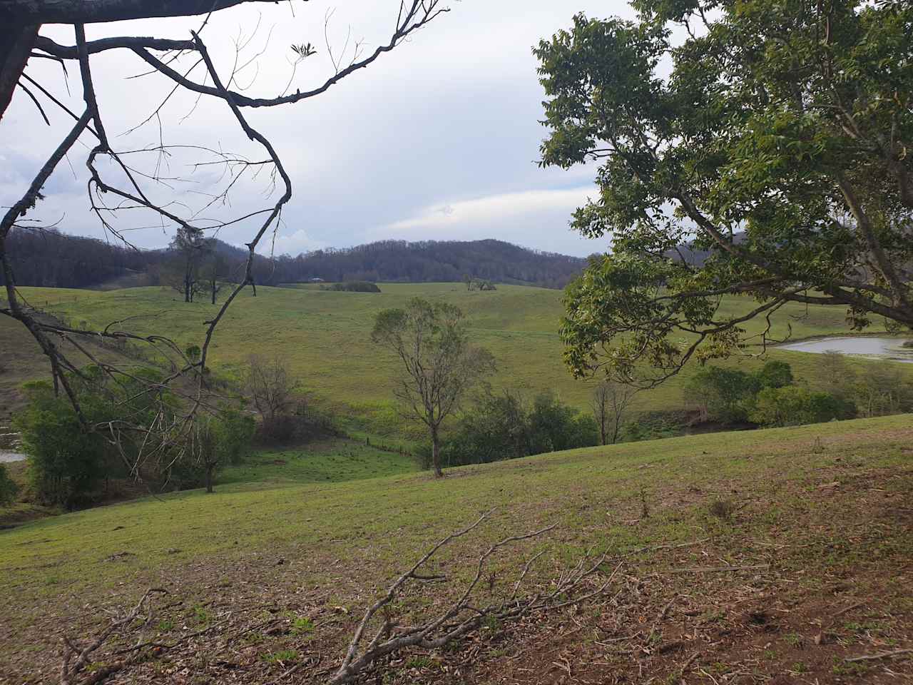 Looking up the hill