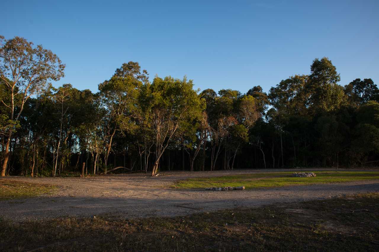 Conservation Camping at Maroochy