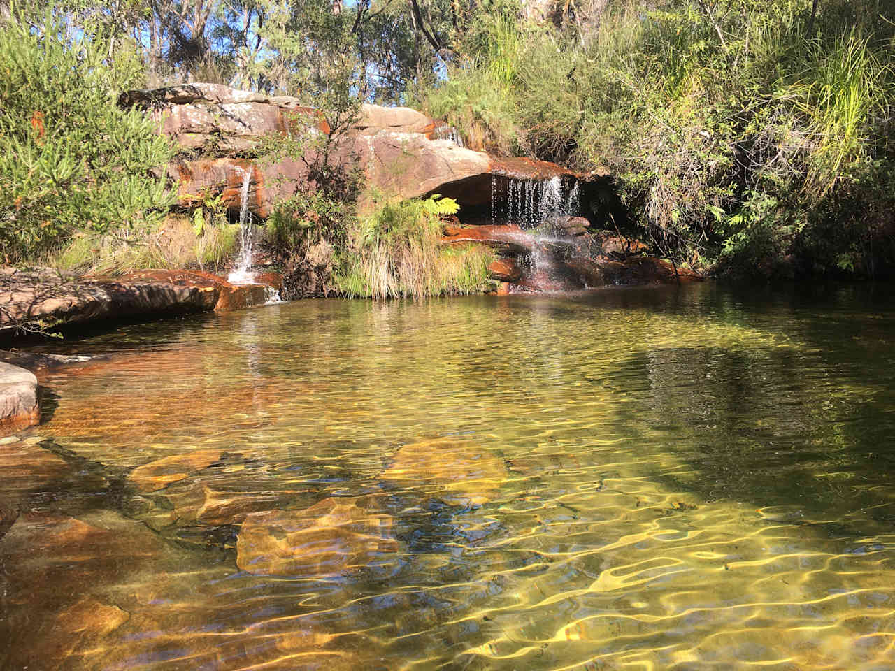 Amazing bush walks @ The Boathouse Retreat @ Elvina Bay 