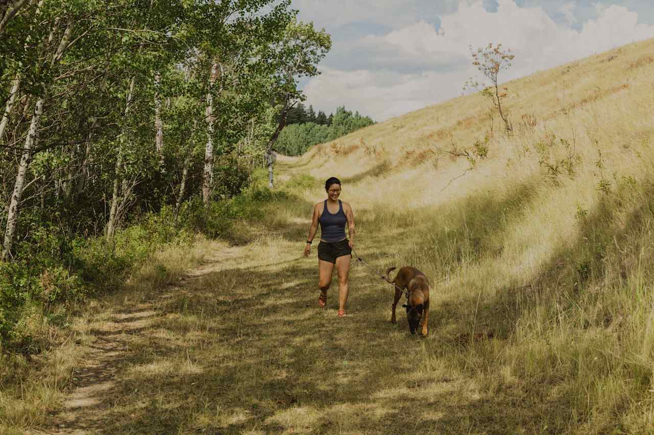 A nice walk on the trail - all part of the property.