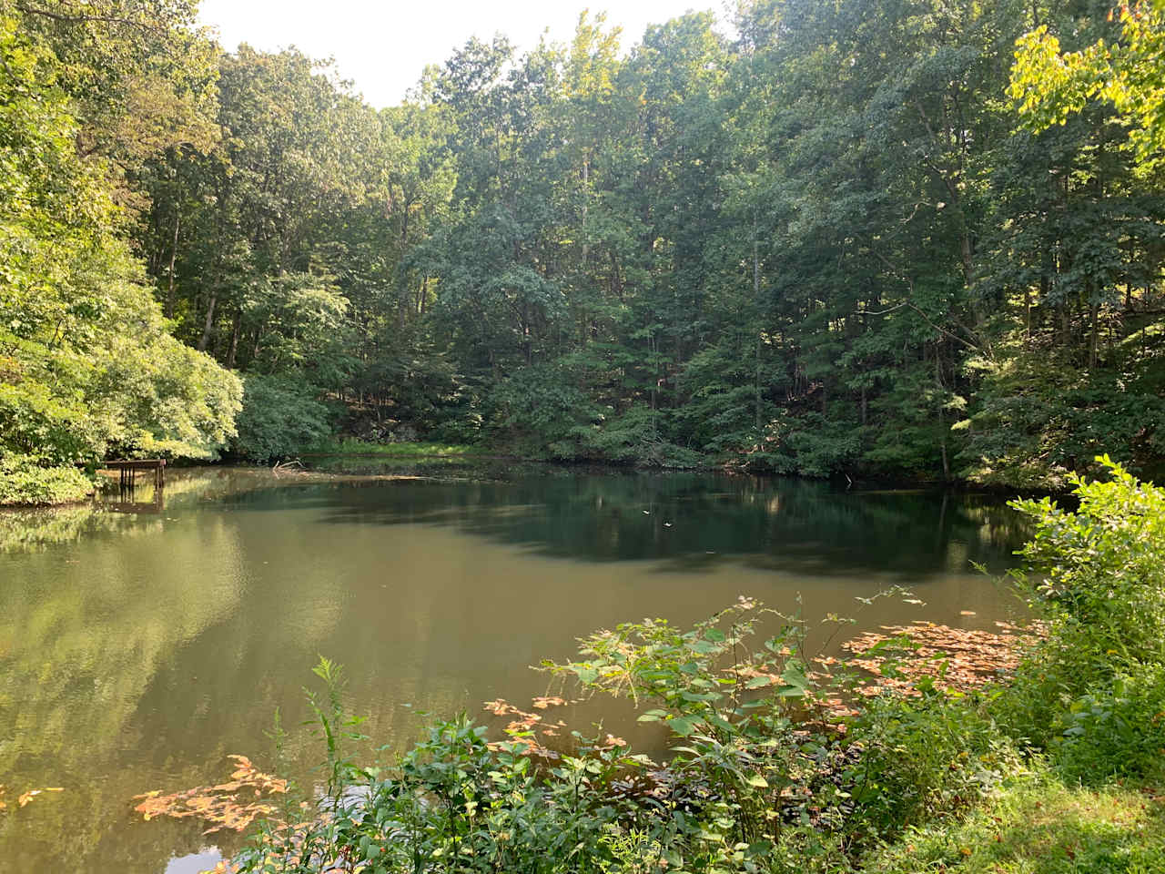 Pond Haven
