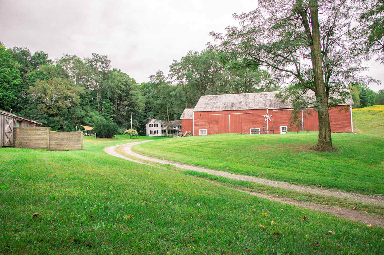 The driveway into the property 