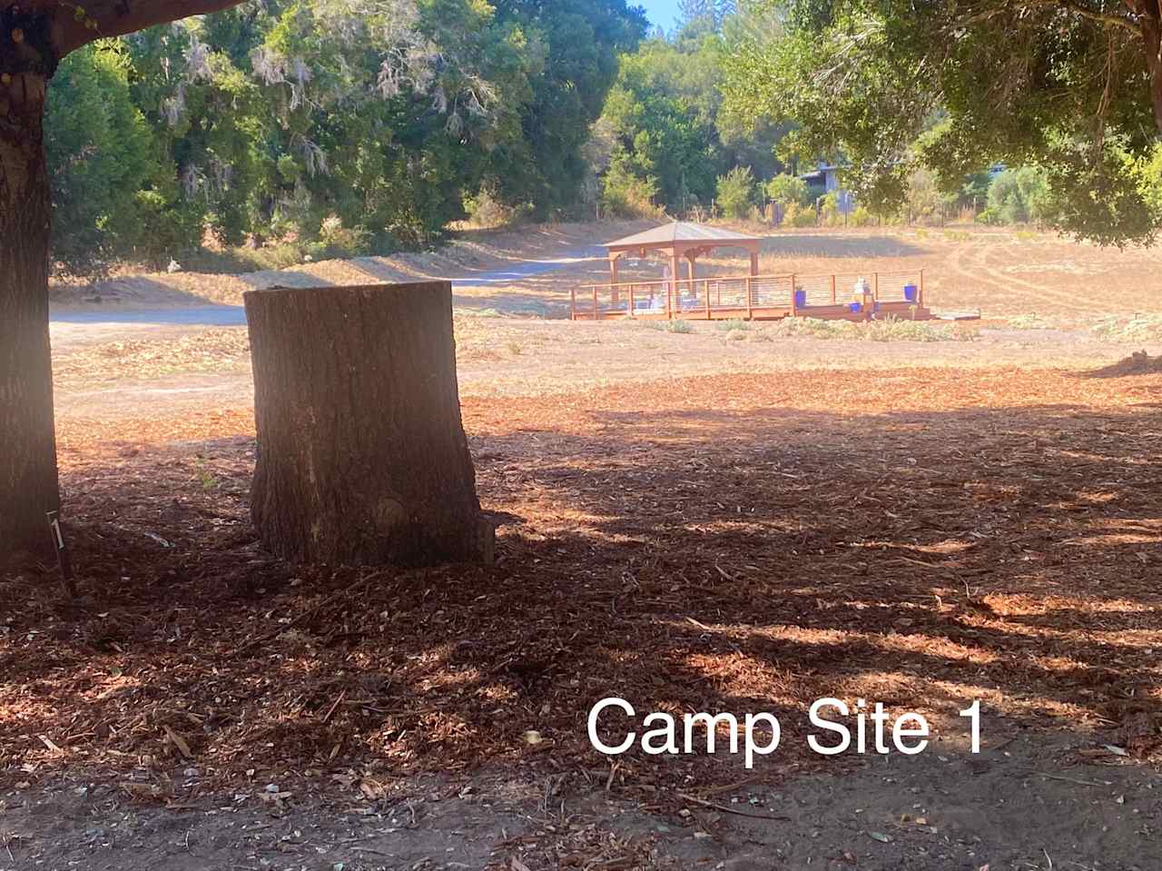 Felton Open Space Camp Sites