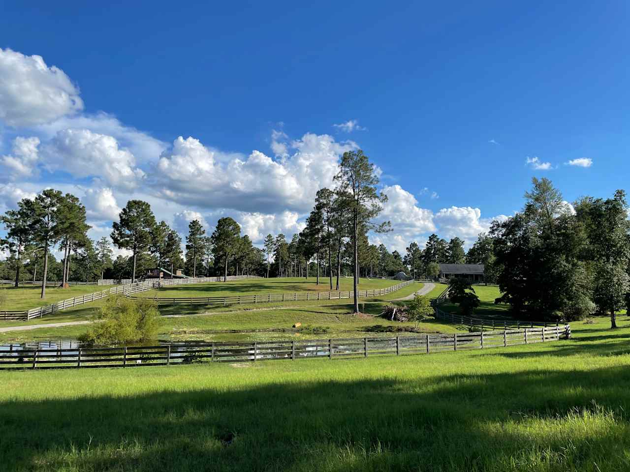 Hummingbird Hill at Clever Covert