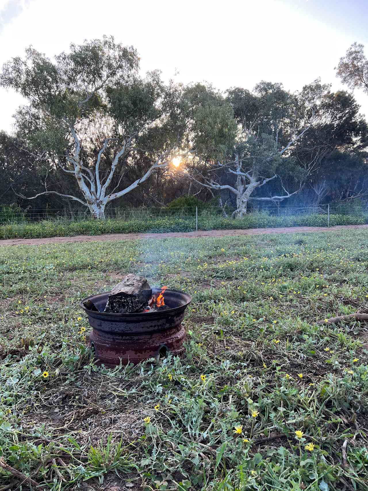 Afternoons by the campfire 
