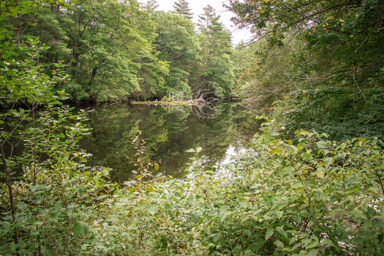 The river that the campsite is right along