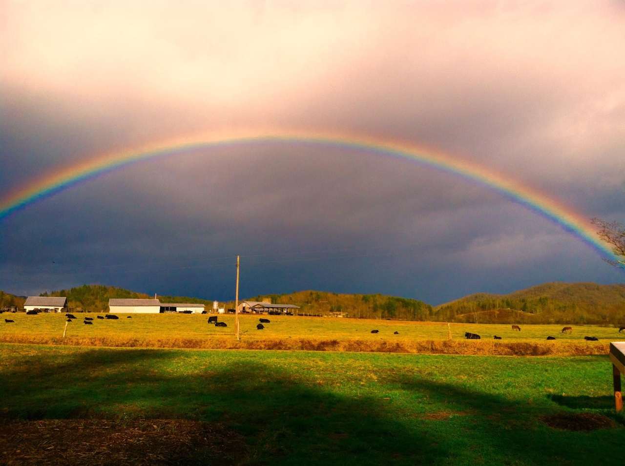 Bell’s Scenic RV Pasture