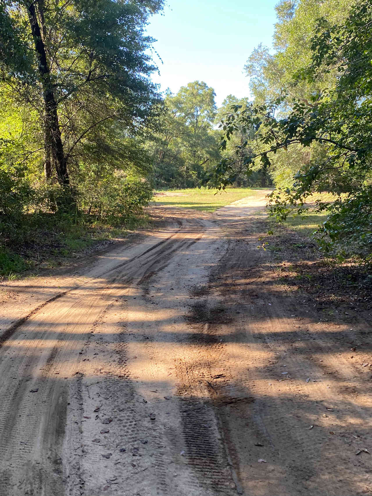 Proceed through the opening in the trees to access Red Oak Nook and Go Bull's Landing.