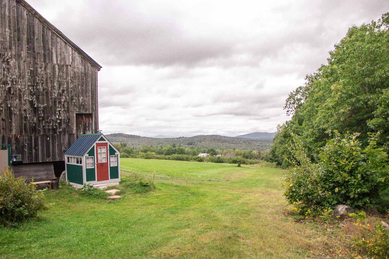 Douglas Hill Orchard