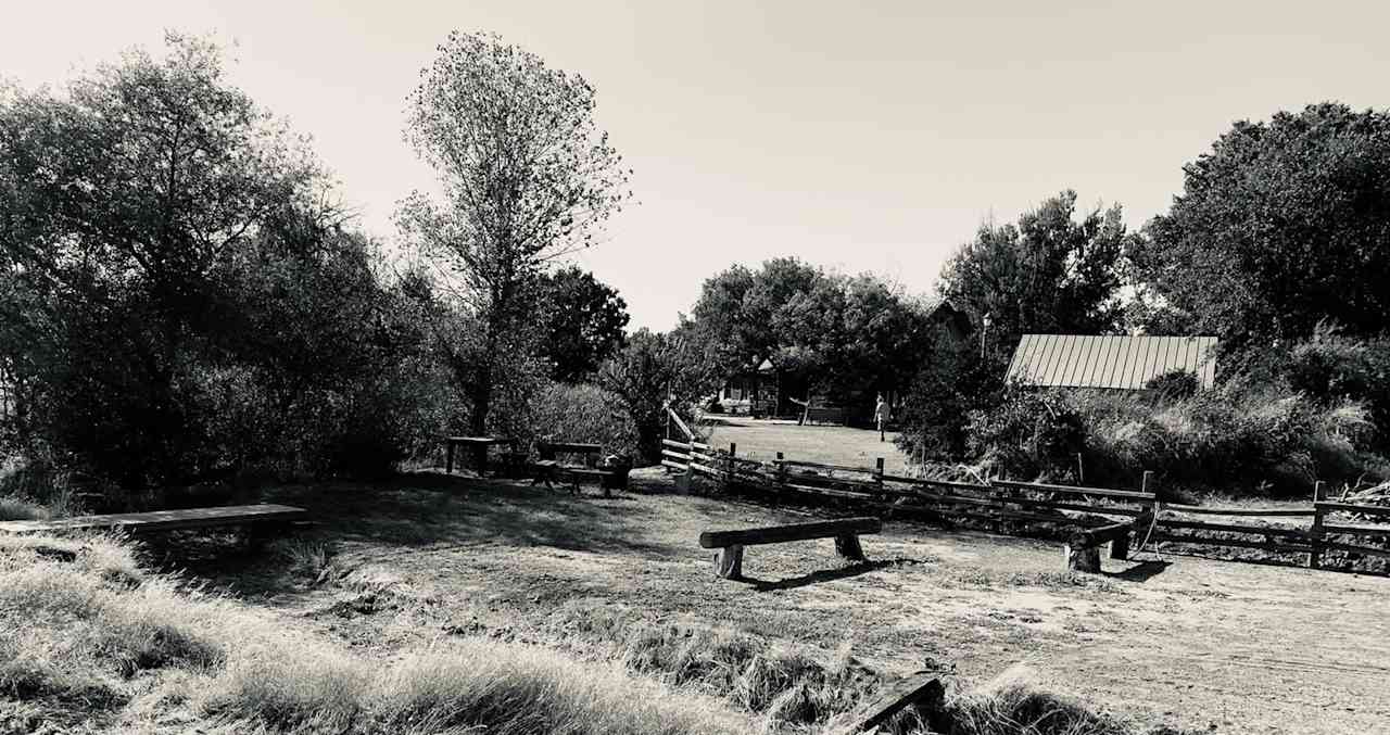The Foxes  Family Farm