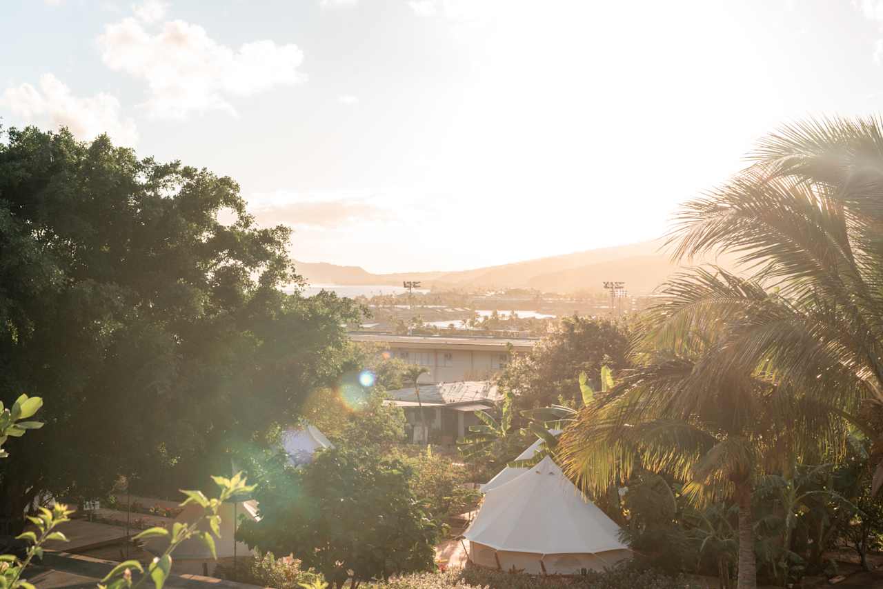 Sun Farm Hawaii @ Koko Head