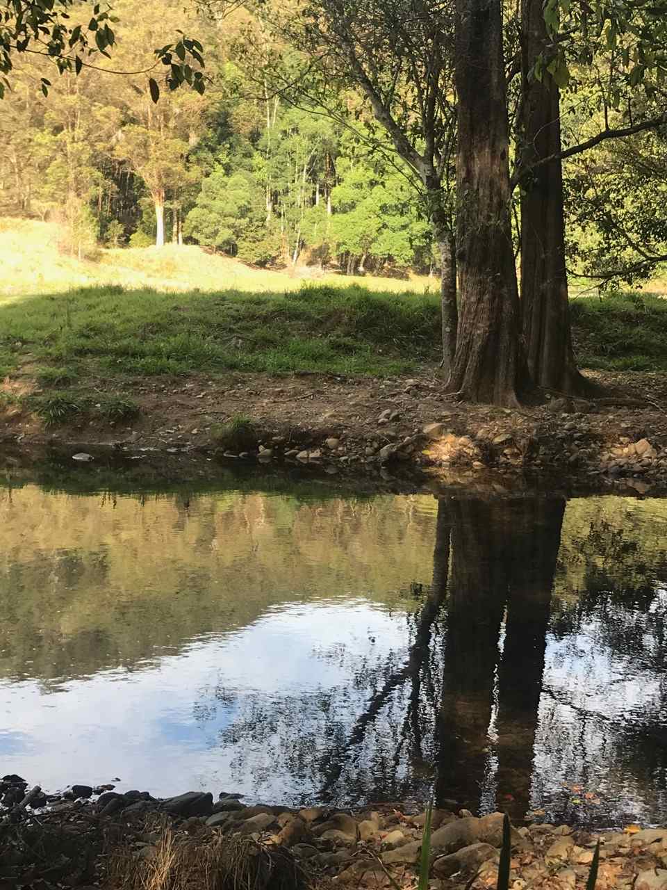 Crystal Creek Springs