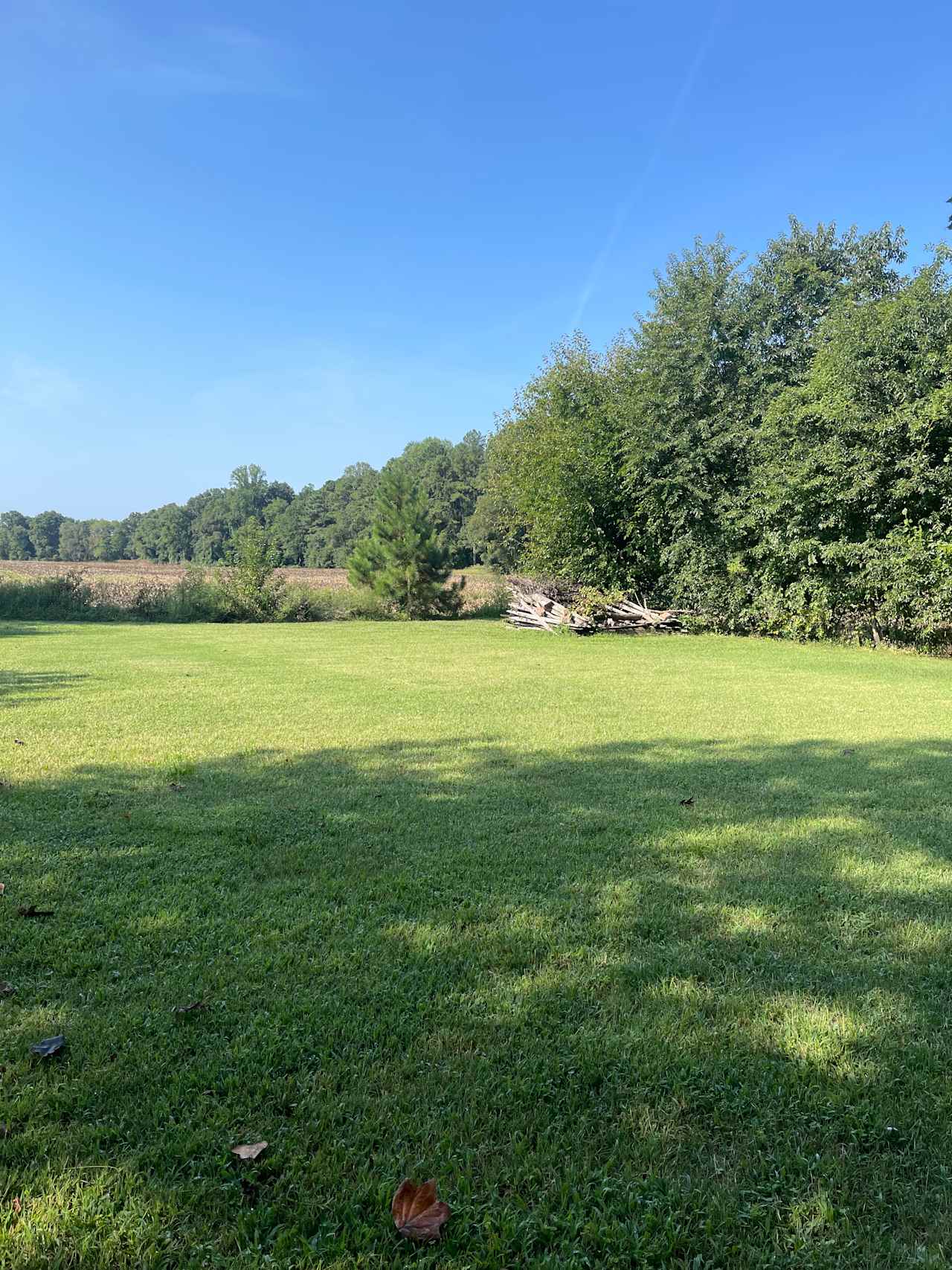 Back Yard with field views that backs to woods