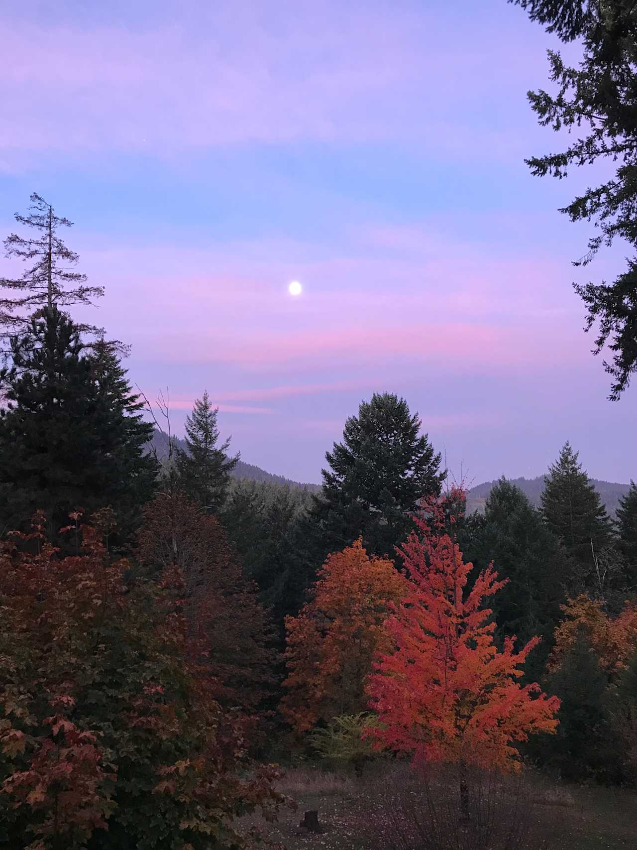 Spencer Butte Foothills Acreage