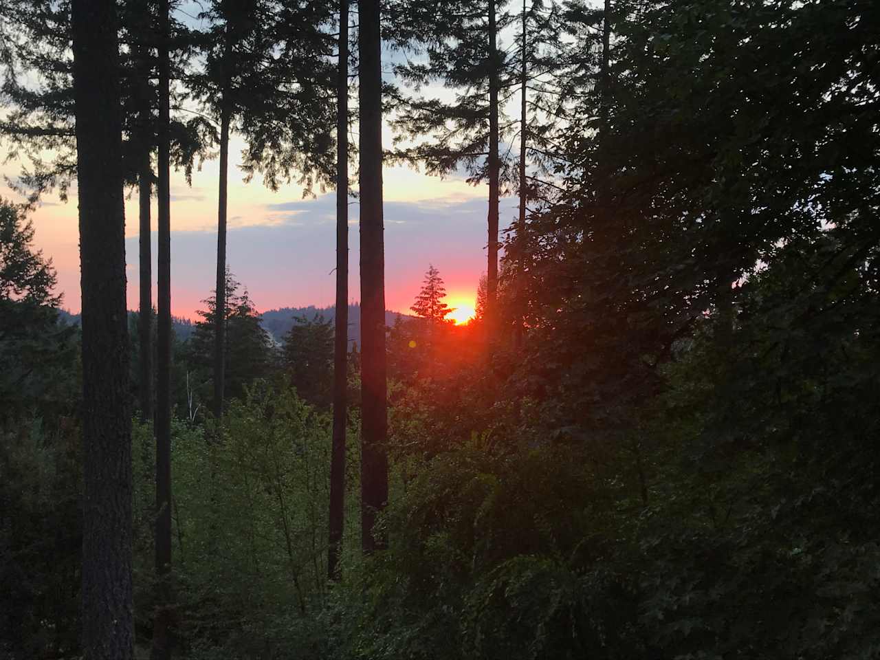 Spencer Butte Foothills Acreage