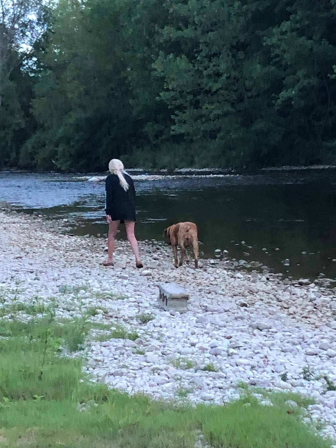 Sue and Bailey cruising 