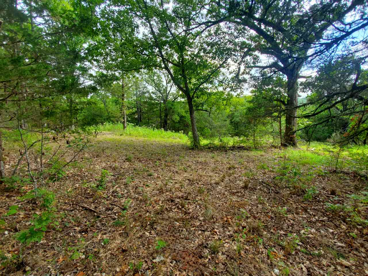 Flat area behind the rock