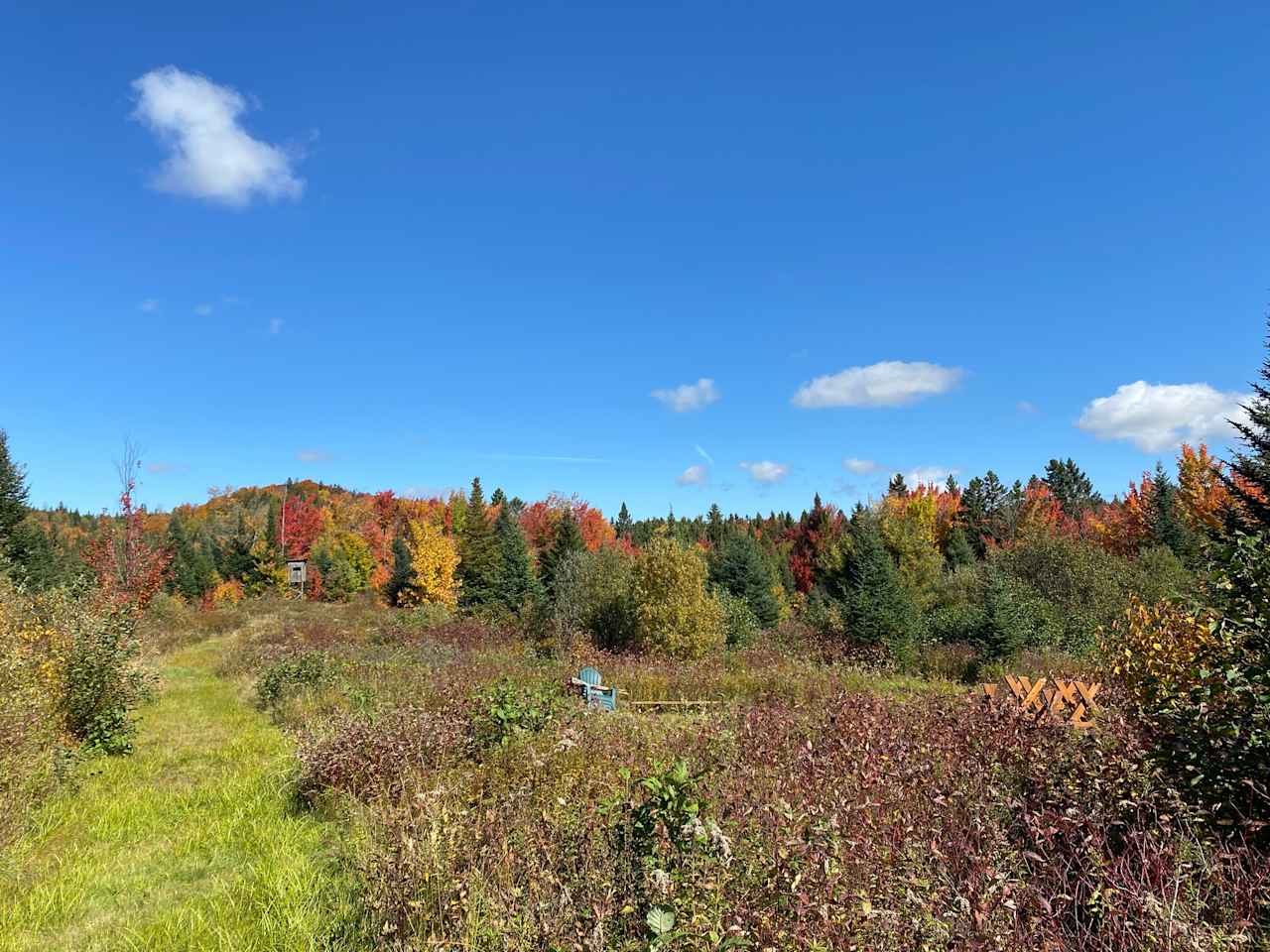 Beach Hill Meadow