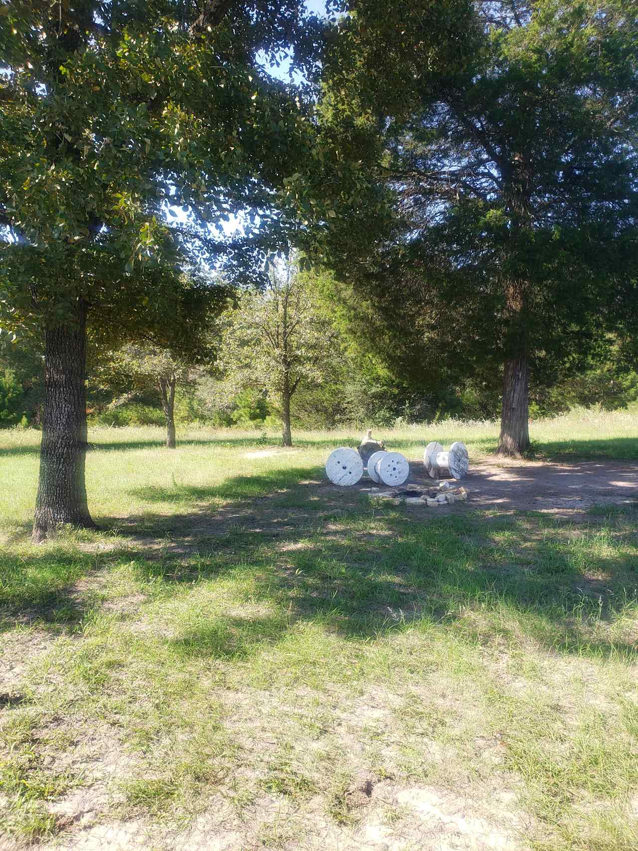 5D RANCH