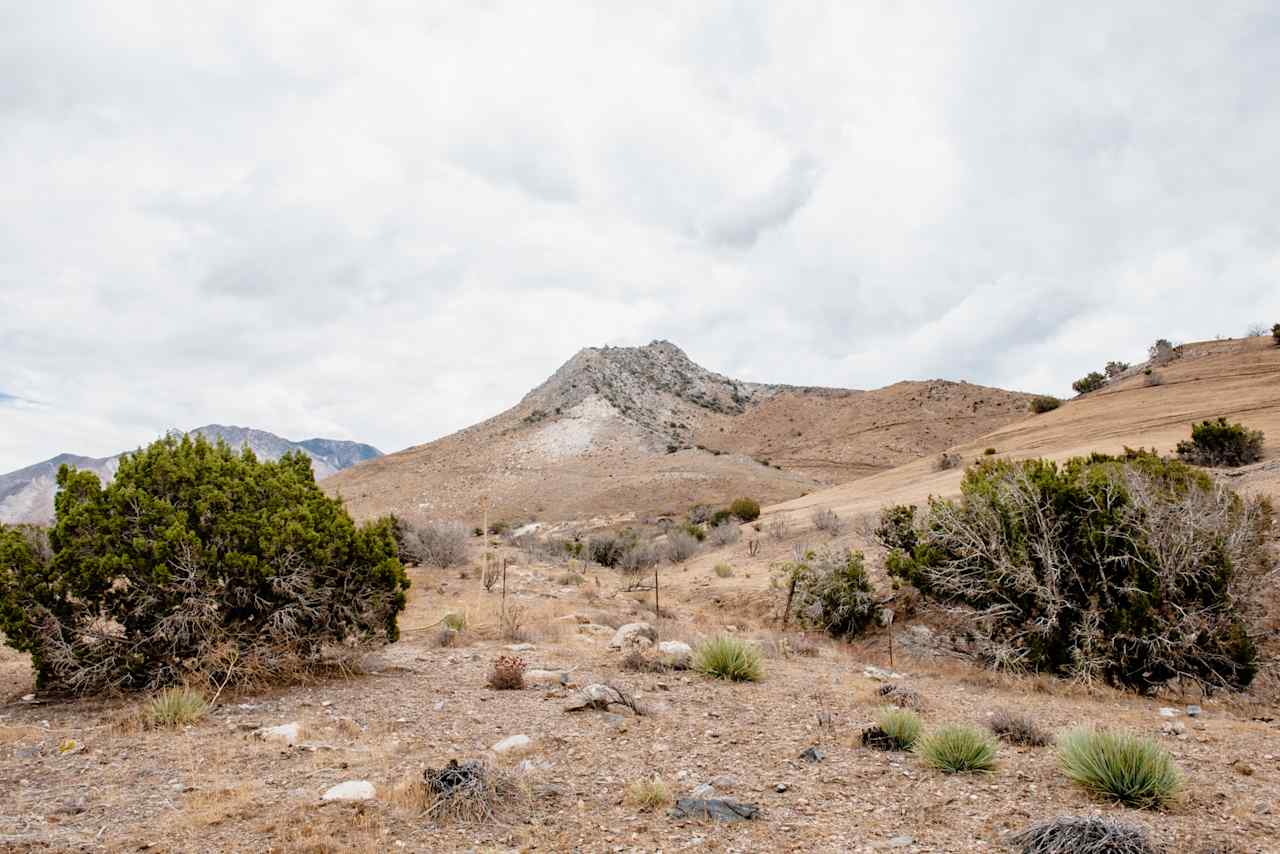 Wandering Star Ranch