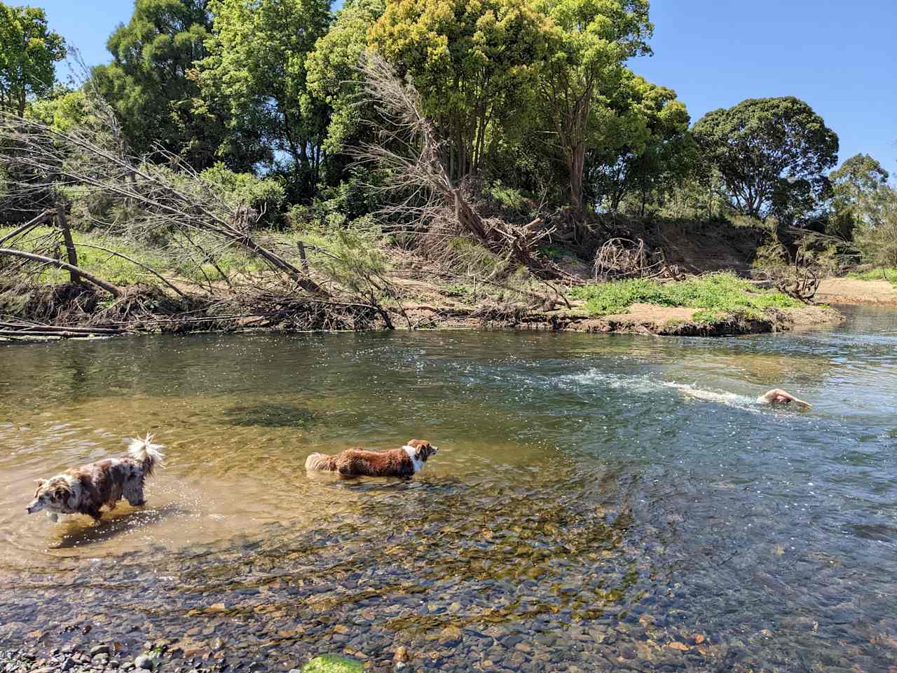 Kenilworth Rural Camping