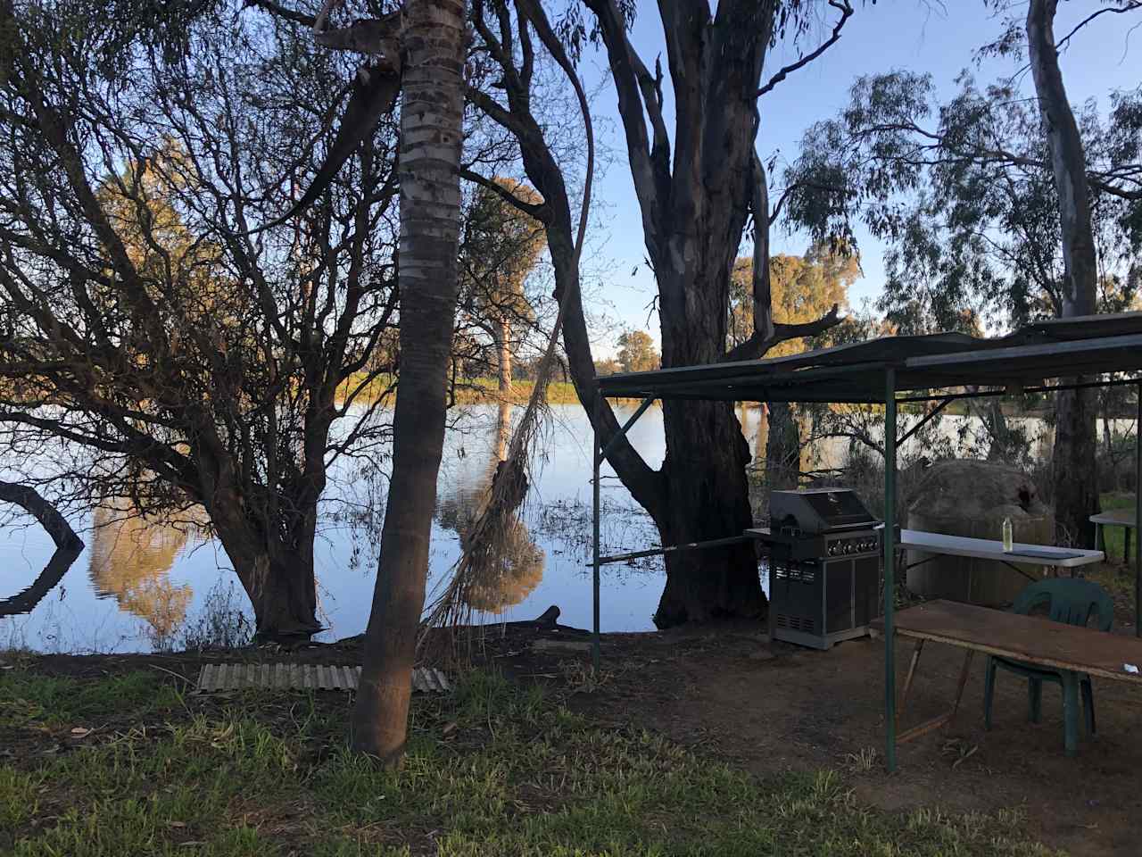 Cudgella on Bundidgerry Creek